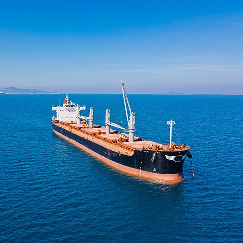 Dry Bulk Ship